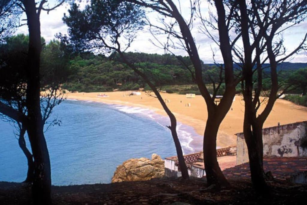 Calma S'Alguer Luxury Beach Apartment Palamós Eksteriør billede