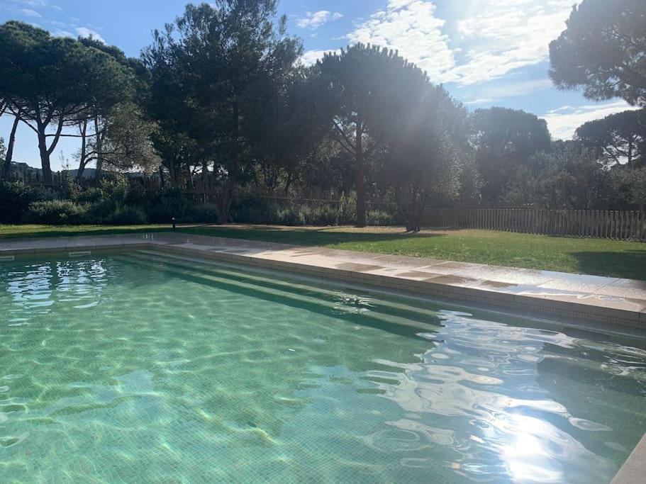 Calma S'Alguer Luxury Beach Apartment Palamós Eksteriør billede