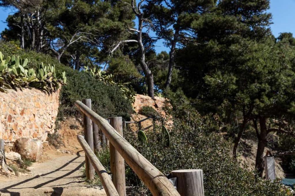 Calma S'Alguer Luxury Beach Apartment Palamós Eksteriør billede